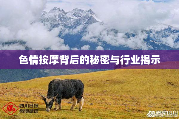 色情按摩背后的秘密与行业揭示