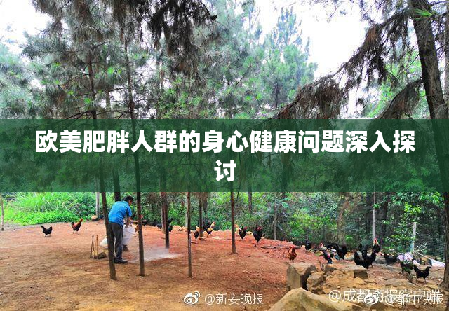 欧美肥胖人群的身心健康问题深入探讨