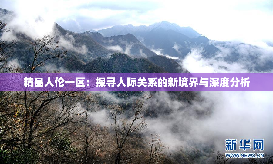 精品人伦一区：探寻人际关系的新境界与深度分析