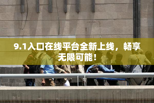 9.1入口在线平台全新上线，畅享无限可能！
