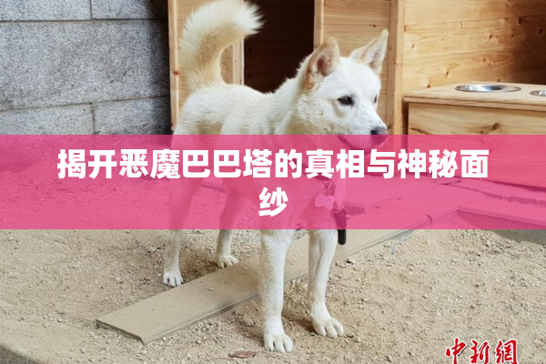 揭开恶魔巴巴塔的真相与神秘面纱