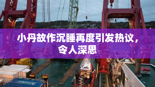 小丹故作沉睡再度引发热议，令人深思