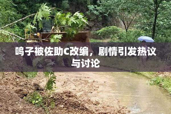 鸣子被佐助C改编，剧情引发热议与讨论