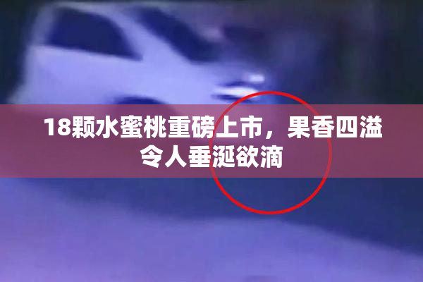 18颗水蜜桃重磅上市，果香四溢令人垂涎欲滴