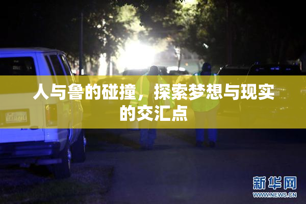 人与鲁的碰撞，探索梦想与现实的交汇点