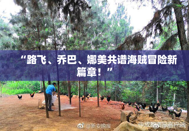 “路飞、乔巴、娜美共谱海贼冒险新篇章！”