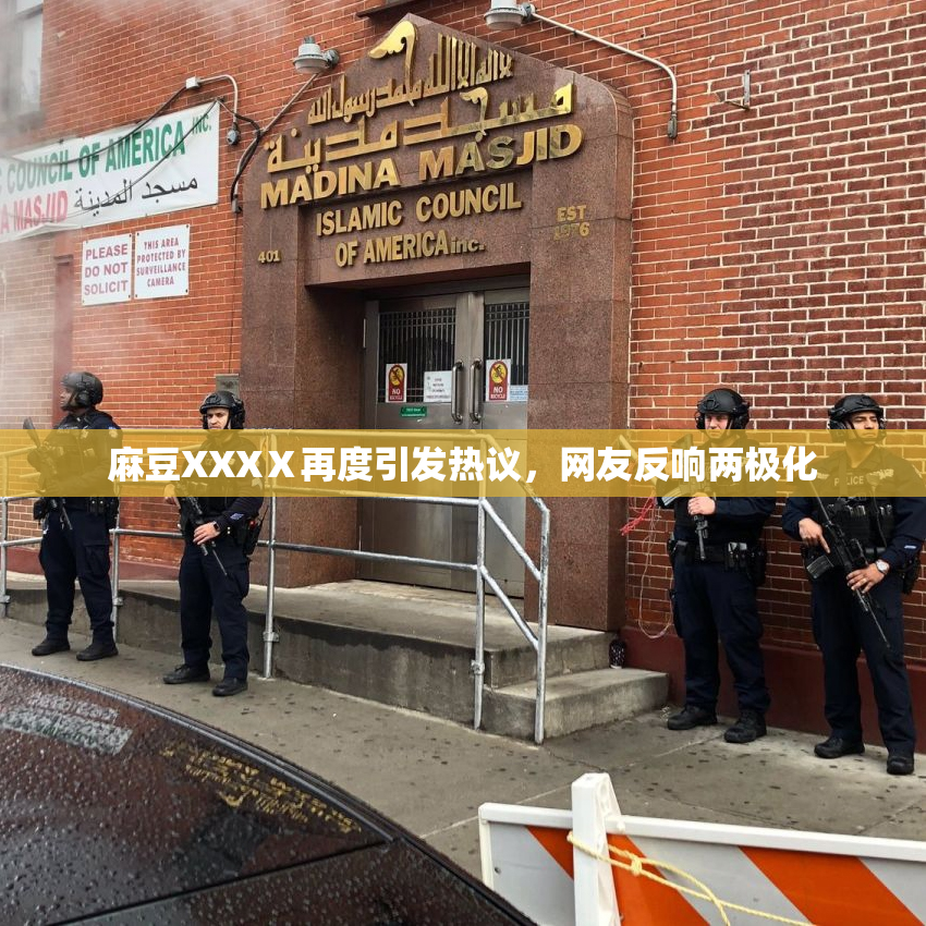 麻豆XXXⅩ再度引发热议，网友反响两极化