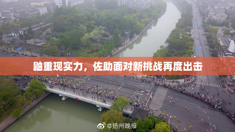 鼬重现实力，佐助面对新挑战再度出击