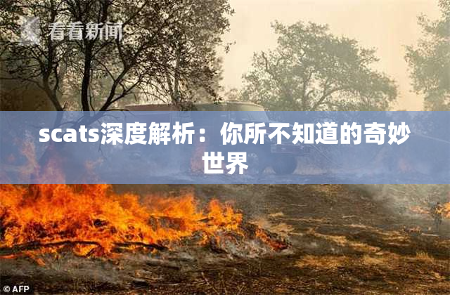 scats深度解析：你所不知道的奇妙世界