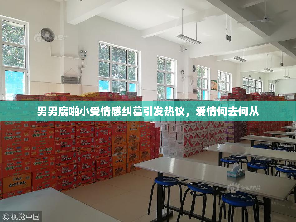 男男腐啪小受情感纠葛引发热议，爱情何去何从