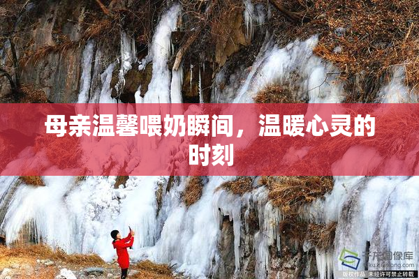 母亲温馨喂奶瞬间，温暖心灵的时刻