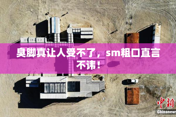 臭脚真让人受不了，sm粗口直言不讳！