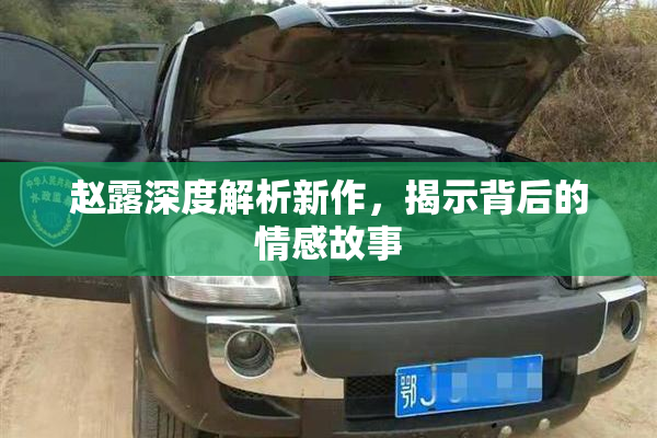 赵露深度解析新作，揭示背后的情感故事