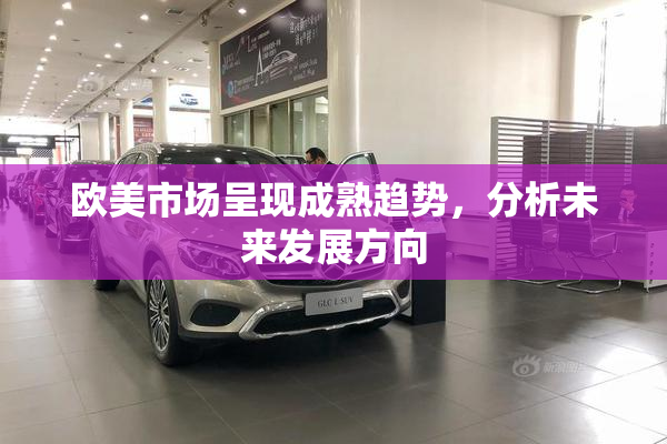 欧美市场呈现成熟趋势，分析未来发展方向