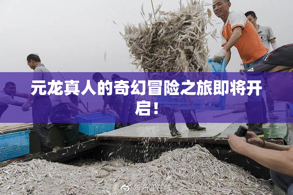 元龙真人的奇幻冒险之旅即将开启！