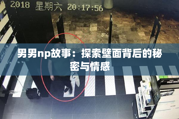 男男np故事：探索壁面背后的秘密与情感