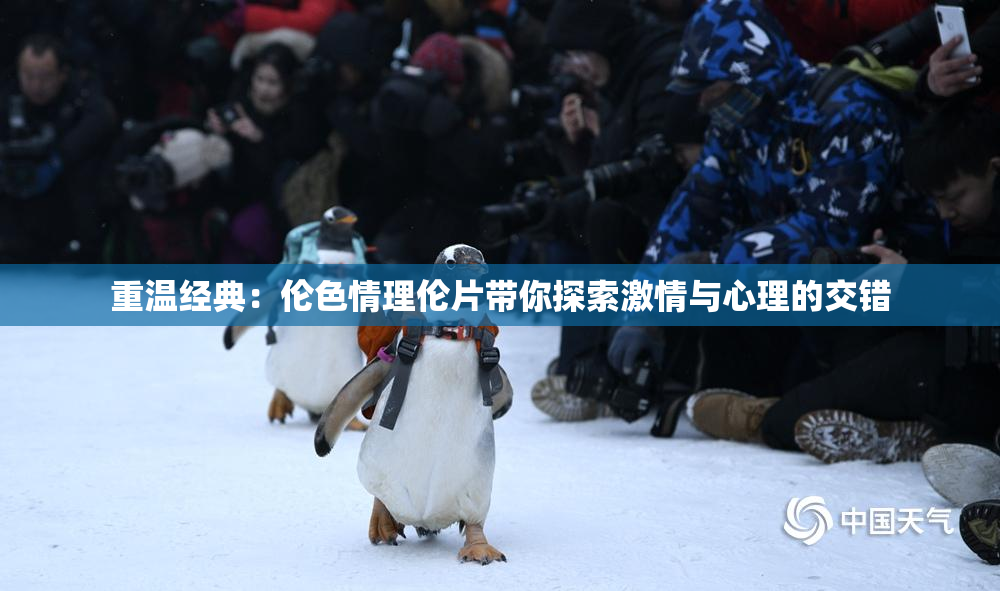 重温经典：伦色情理伦片带你探索激情与心理的交错