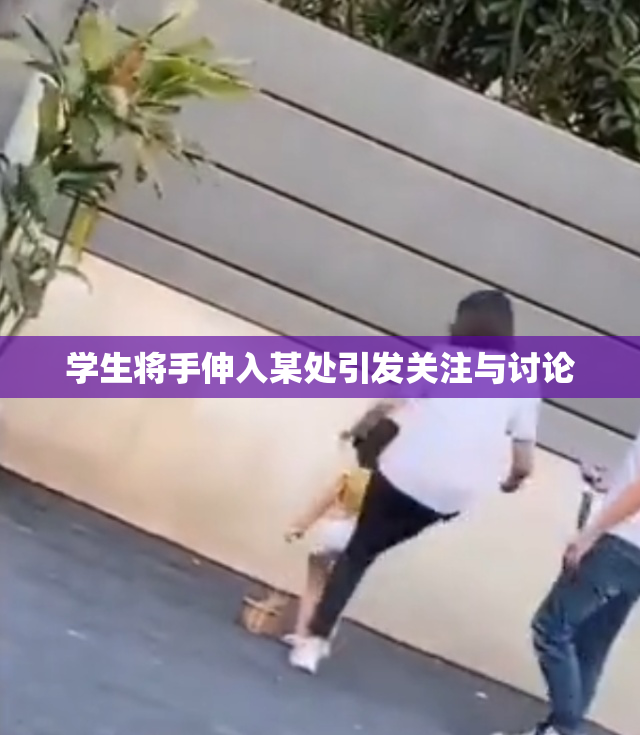 学生将手伸入某处引发关注与讨论