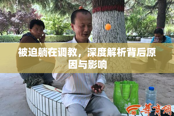 被迫躺在调教，深度解析背后原因与影响