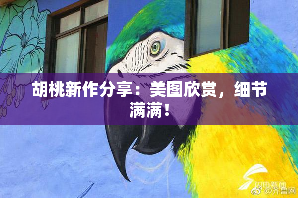 胡桃新作分享：美图欣赏，细节满满！