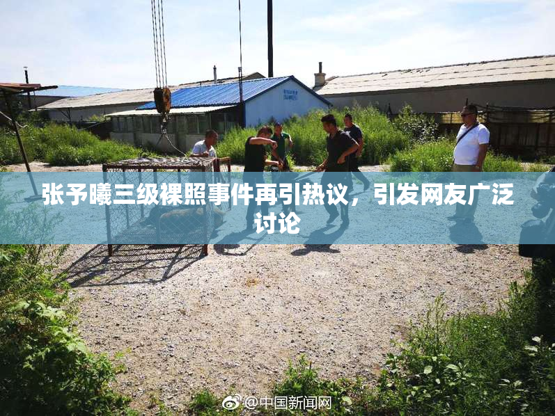 张予曦三级裸照事件再引热议，引发网友广泛讨论