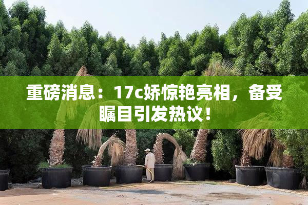 重磅消息：17c娇惊艳亮相，备受瞩目引发热议！