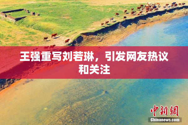 王强重写刘若琳，引发网友热议和关注