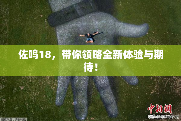 佐鸣18，带你领略全新体验与期待！