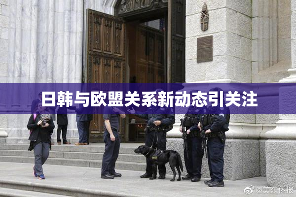 日韩与欧盟关系新动态引关注