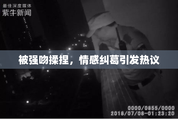 被强吻揉捏，情感纠葛引发热议