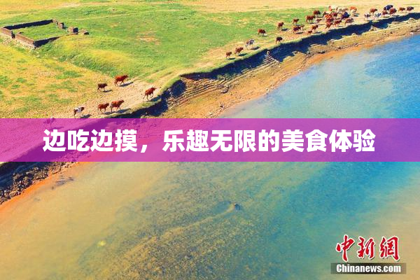 边吃边摸，乐趣无限的美食体验