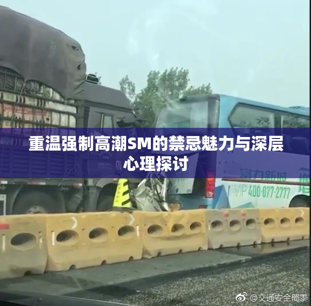 重温强制高潮SM的禁忌魅力与深层心理探讨