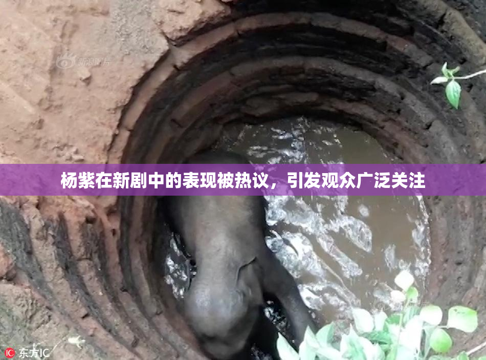 杨紫在新剧中的表现被热议，引发观众广泛关注