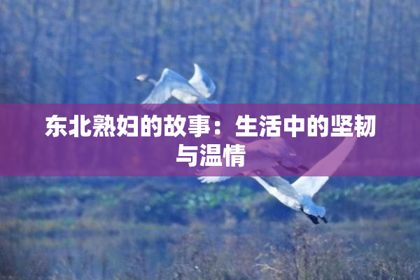 东北熟妇的故事：生活中的坚韧与温情
