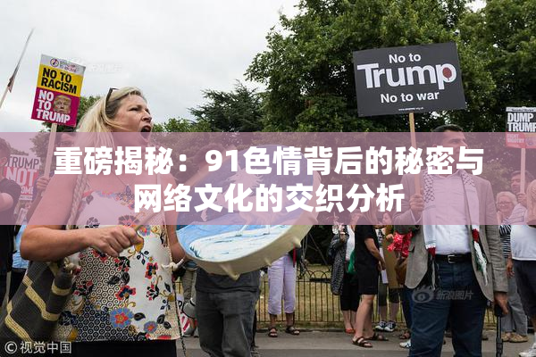重磅揭秘：91色情背后的秘密与网络文化的交织分析