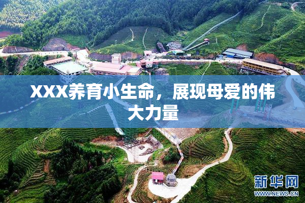 XXX养育小生命，展现母爱的伟大力量