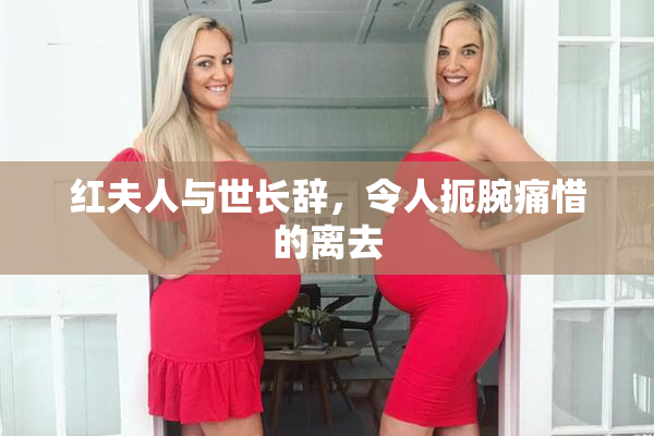 红夫人与世长辞，令人扼腕痛惜的离去