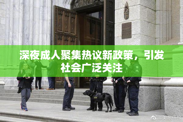 深夜成人聚集热议新政策，引发社会广泛关注