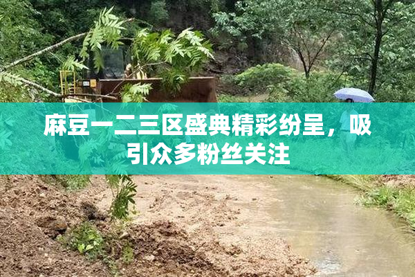 麻豆一二三区盛典精彩纷呈，吸引众多粉丝关注
