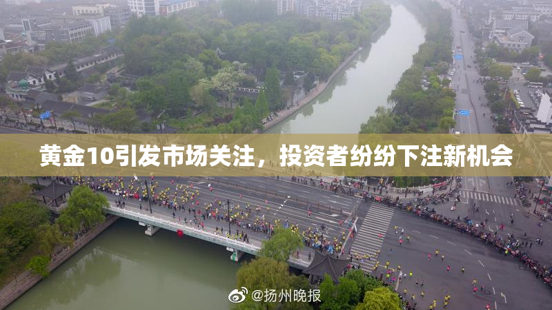 黄金10引发市场关注，投资者纷纷下注新机会
