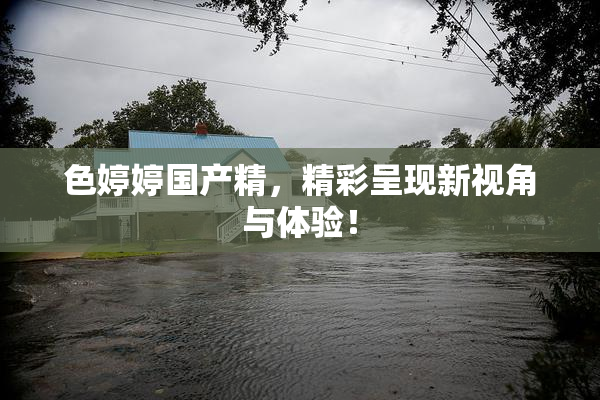 色婷婷国产精，精彩呈现新视角与体验！