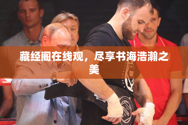 藏经阁在线观，尽享书海浩瀚之美