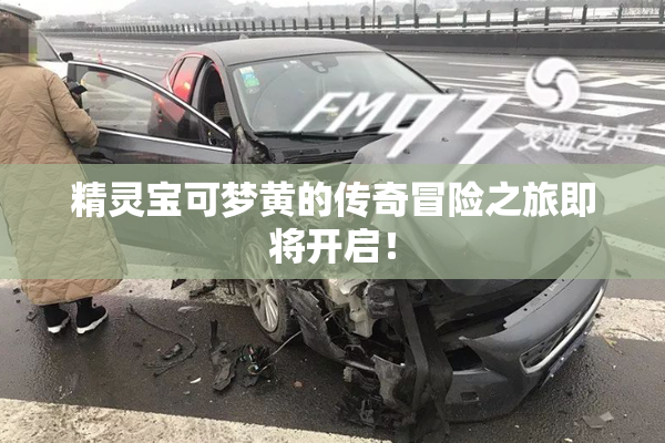 精灵宝可梦黄的传奇冒险之旅即将开启！