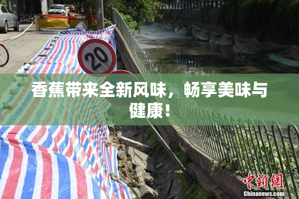 香蕉带来全新风味，畅享美味与健康！