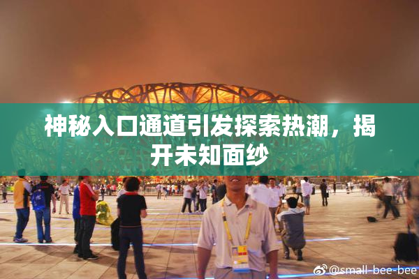 神秘入口通道引发探索热潮，揭开未知面纱