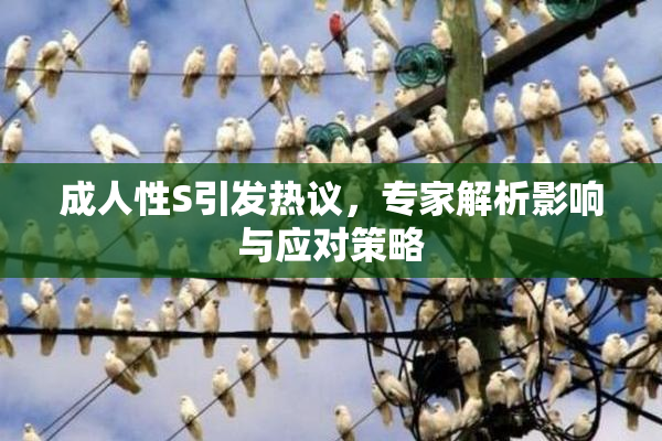 成人性S引发热议，专家解析影响与应对策略