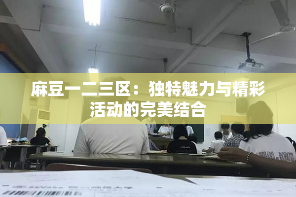麻豆一二三区：独特魅力与精彩活动的完美结合