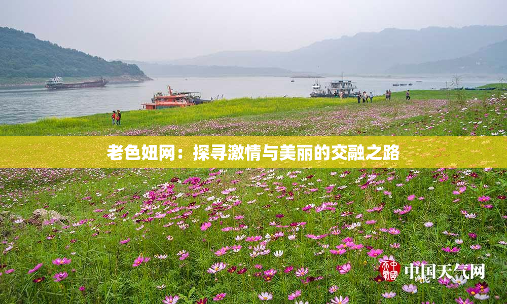 老色妞网：探寻激情与美丽的交融之路
