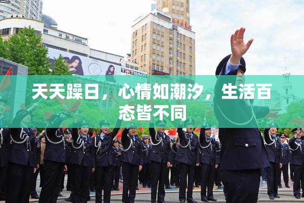 天天躁日，心情如潮汐，生活百态皆不同