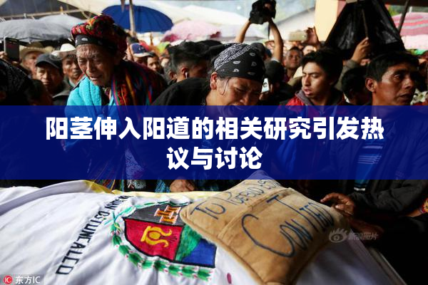 阳茎伸入阳道的相关研究引发热议与讨论